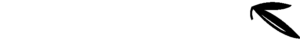 Logo adaccio