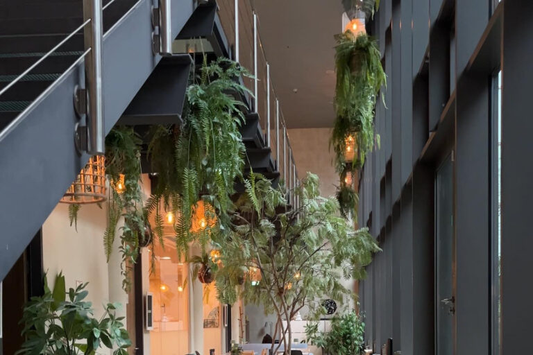 Restaurant Gutschein Balance Deli Frankfurt